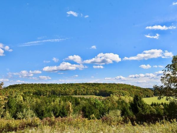 1980 COUNTY RT. 81, Addison, NY 14801