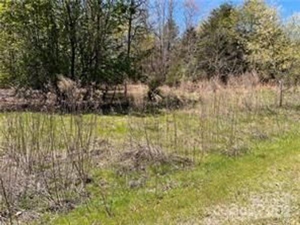 0000 Elliot Lane, Rutherfordton, NC 28139