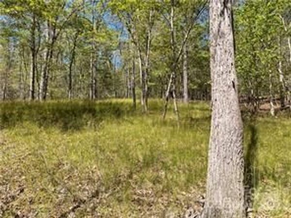 0000 Zackary Lane, Rutherfordton, NC 28139