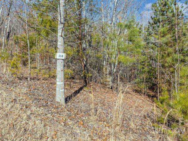 TBD Coal Pit Mountain Road, Nebo, NC 28761