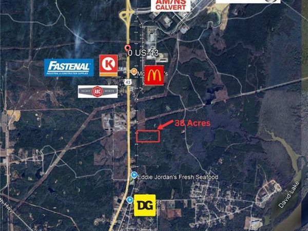 0 Highway 43 N, Mount Vernon, AL 36560