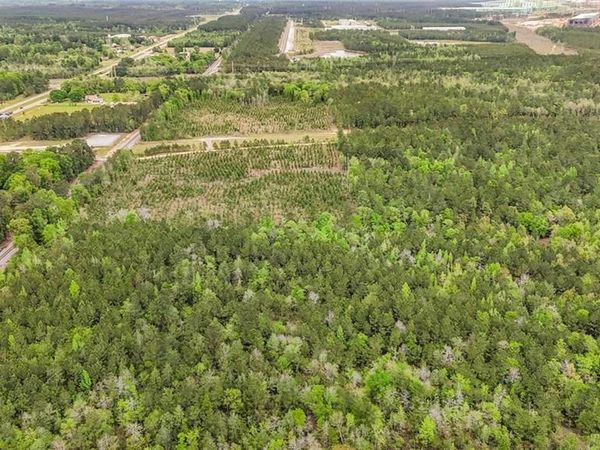 0 Highway 43 N, Mount Vernon, AL 36560