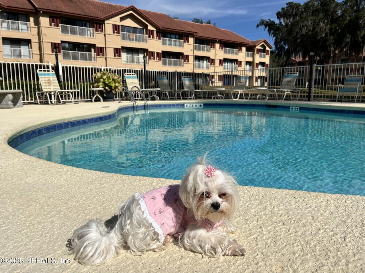 99 Broad River Place, Unit 2107, Welaka, FL 32193 Photo