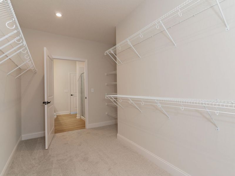 8524 Concerto Court, Union, KY 41091 Photo 19