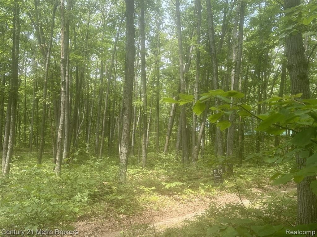 Garfield Boulevard, Gerrish Township, MI 48653 Main Photo