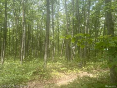 Garfield Boulevard, Gerrish Twp, MI 48653