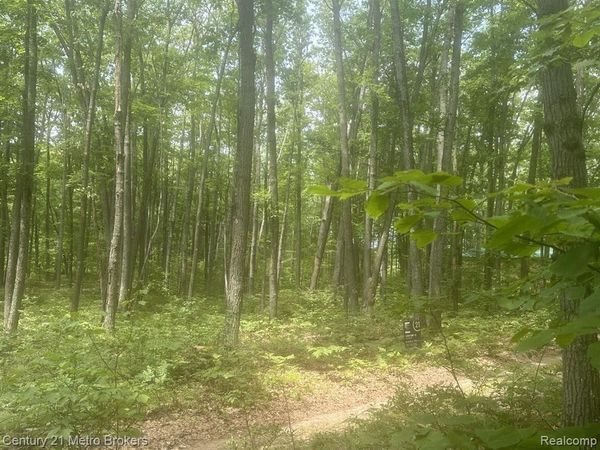 Garfield Boulevard, Gerrish Twp, MI 48653