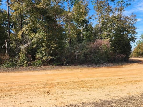 0 Breese Court, Unit Lot 29, Alford, FL 32420