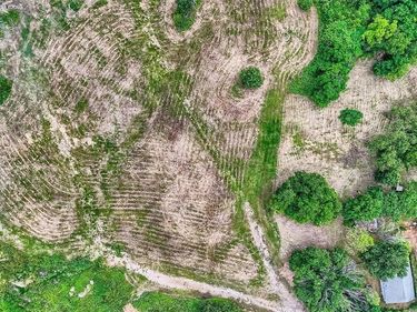 2320 Dowdy Ferry Road, Dallas, TX 75217