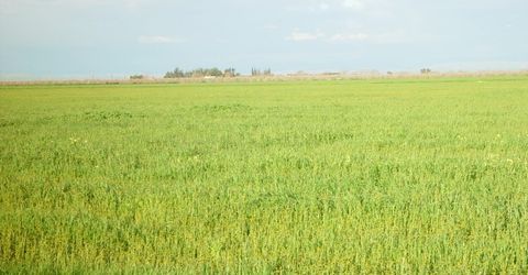 1 Road 18 3/4, Chowchilla, CA 93610 Photo