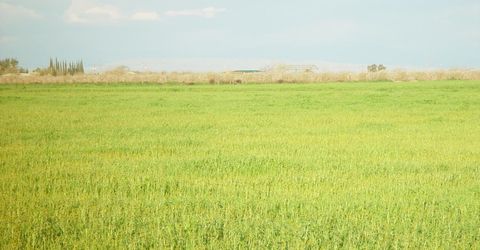 1 Road 18 3/4, Chowchilla, CA 93610 Photo