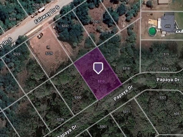 5310 PAPAYA DRIVE, PUNTA GORDA, FL 33982