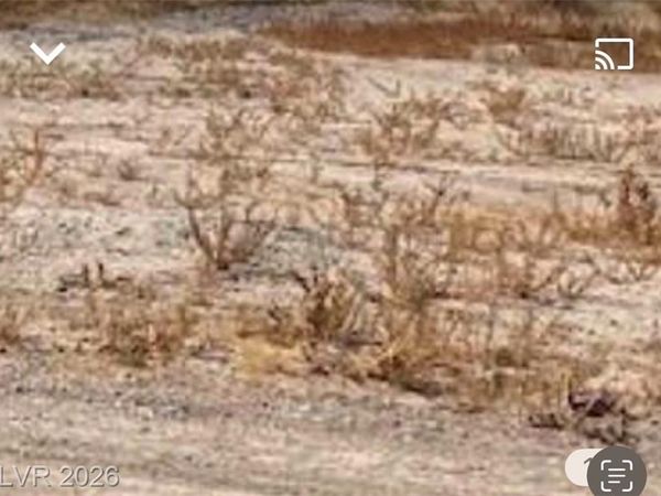 2380 N leslie, Pahrump, NV 89060