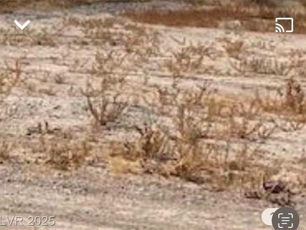 2380 N leslie, Pahrump, NV 89060