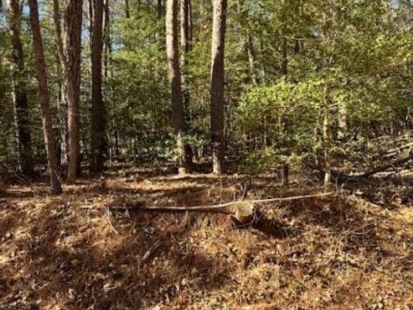 #62 Knights Landing Drive, HEATHSVILLE, VA 22473