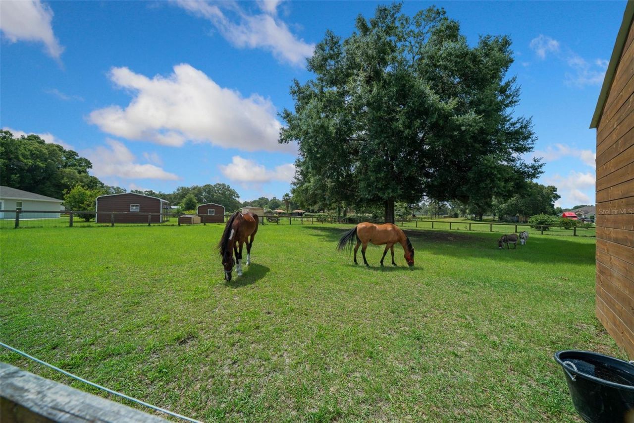 14130 SW 8th Avenue, Ocala, FL 34473 Photo