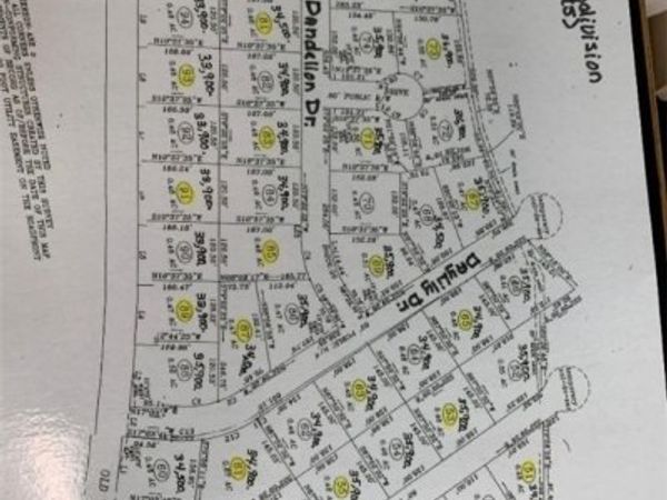 DANDELION Drive, Lumberton, NC 28360