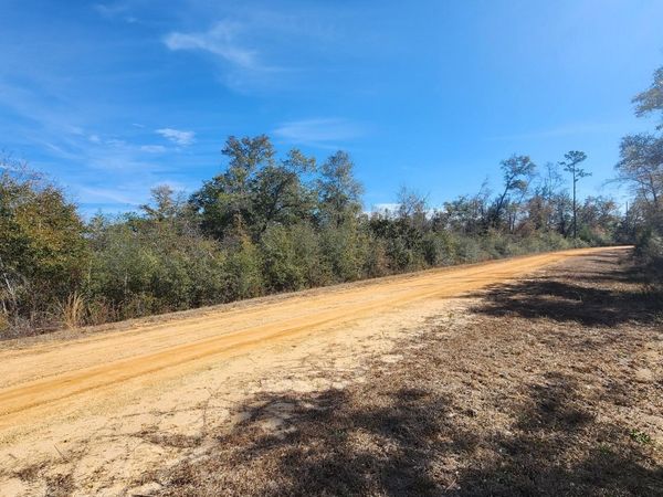 0 Fargo Drive, Unit Lot 14, Alford, FL 32420