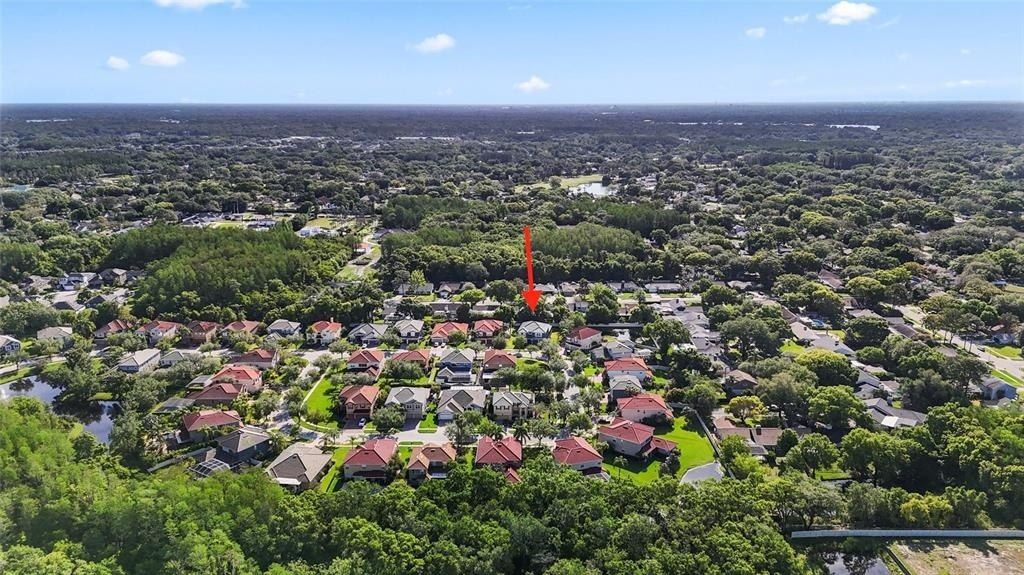 12833 Darby Ridge Drive, Tampa, FL 33624 Photo