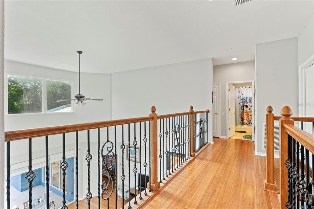 12833 Darby Ridge Drive, Tampa, FL 33624 Photo