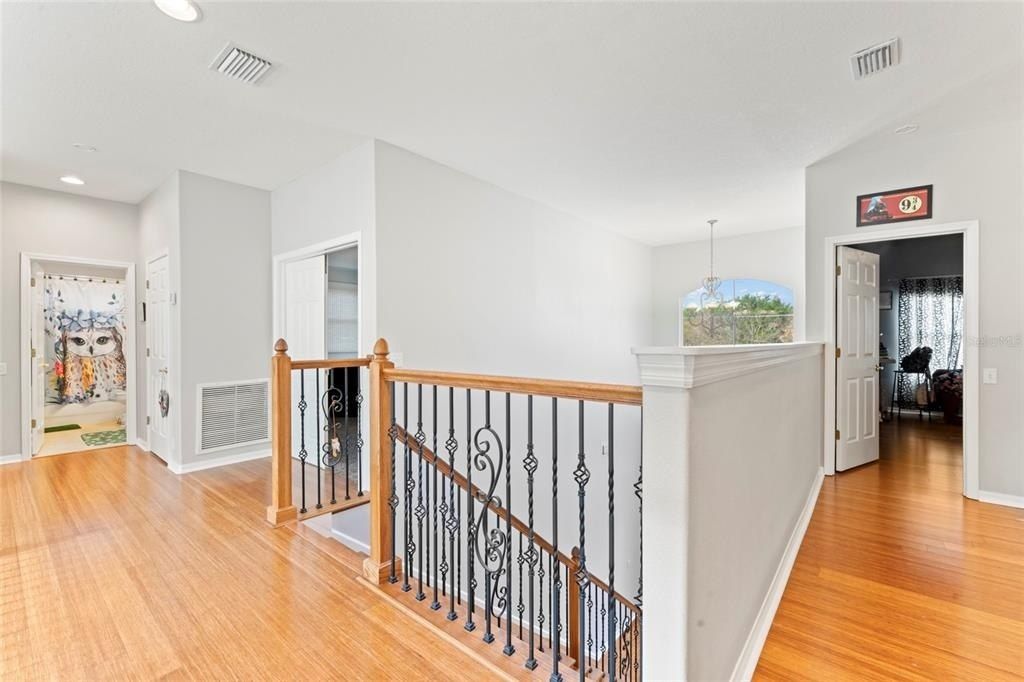 12833 Darby Ridge Drive, Tampa, FL 33624 Photo