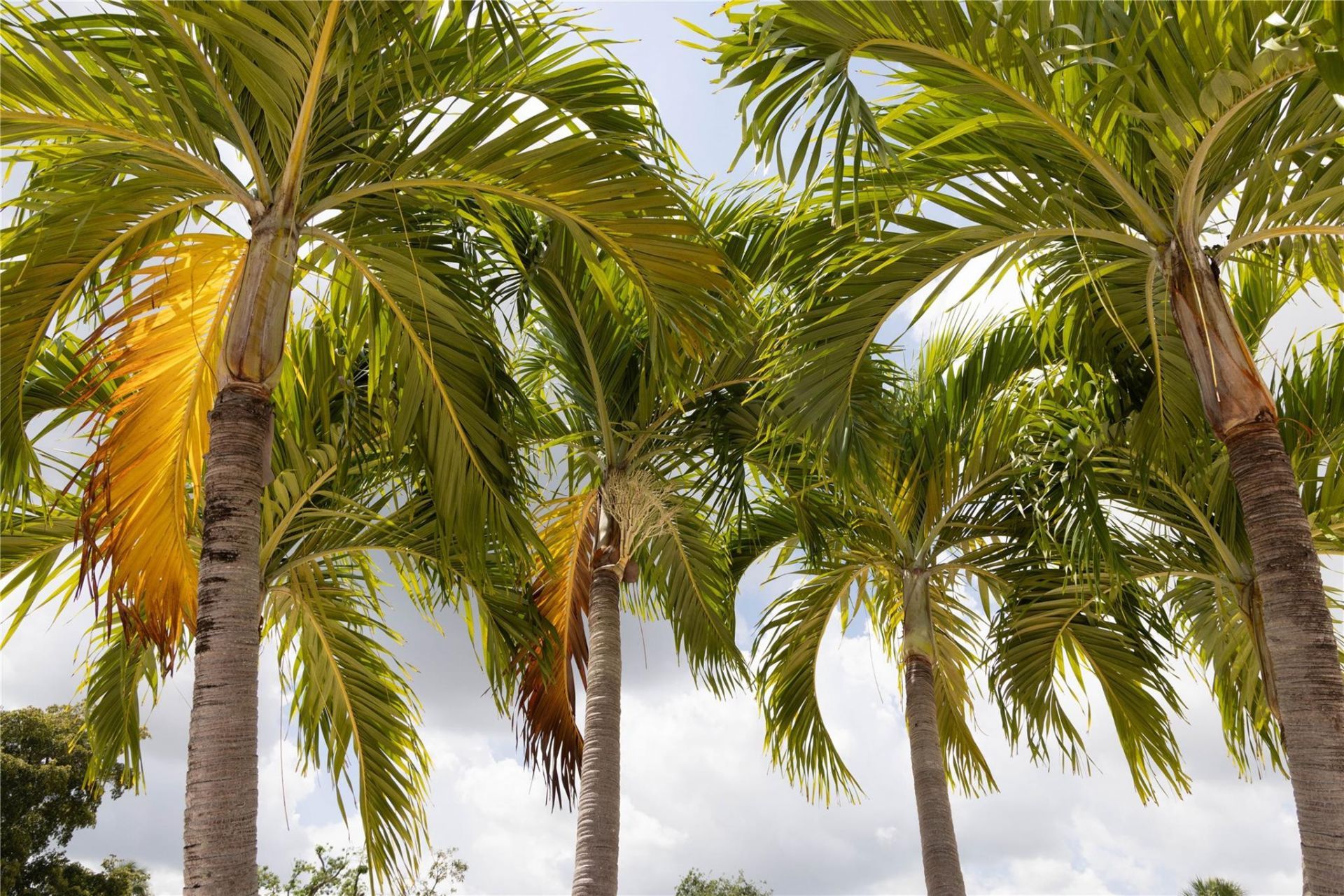 7855 NW 5th Court, Unit 201, Margate, FL 33063 Photo