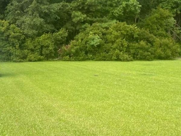 Near 702 Conway Road, Fair Bluff, NC 28439