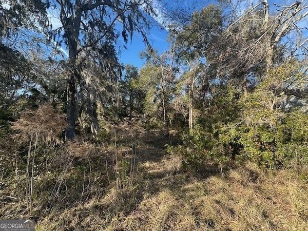 V/L 276 Harbour Island Circle, Waverly, GA 31565