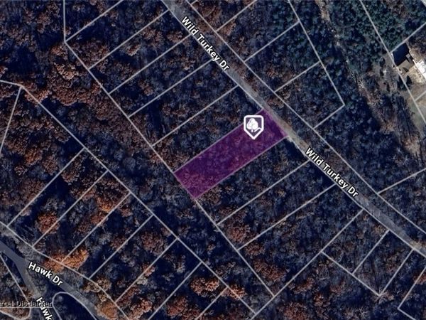 Wild Turkey Drive, Eureka Springs, AR 72631