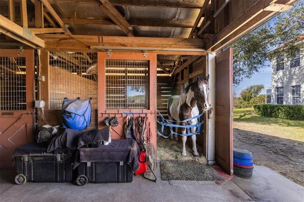 4230 Rex Drive, Winter Garden, FL 34787 Photo