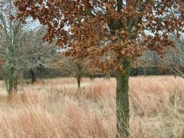 702 County Road 3597, Boyd, TX 76023