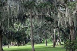 83 Cocktail Lane photo 4