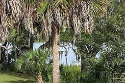 83 Cocktail Lane photo 4