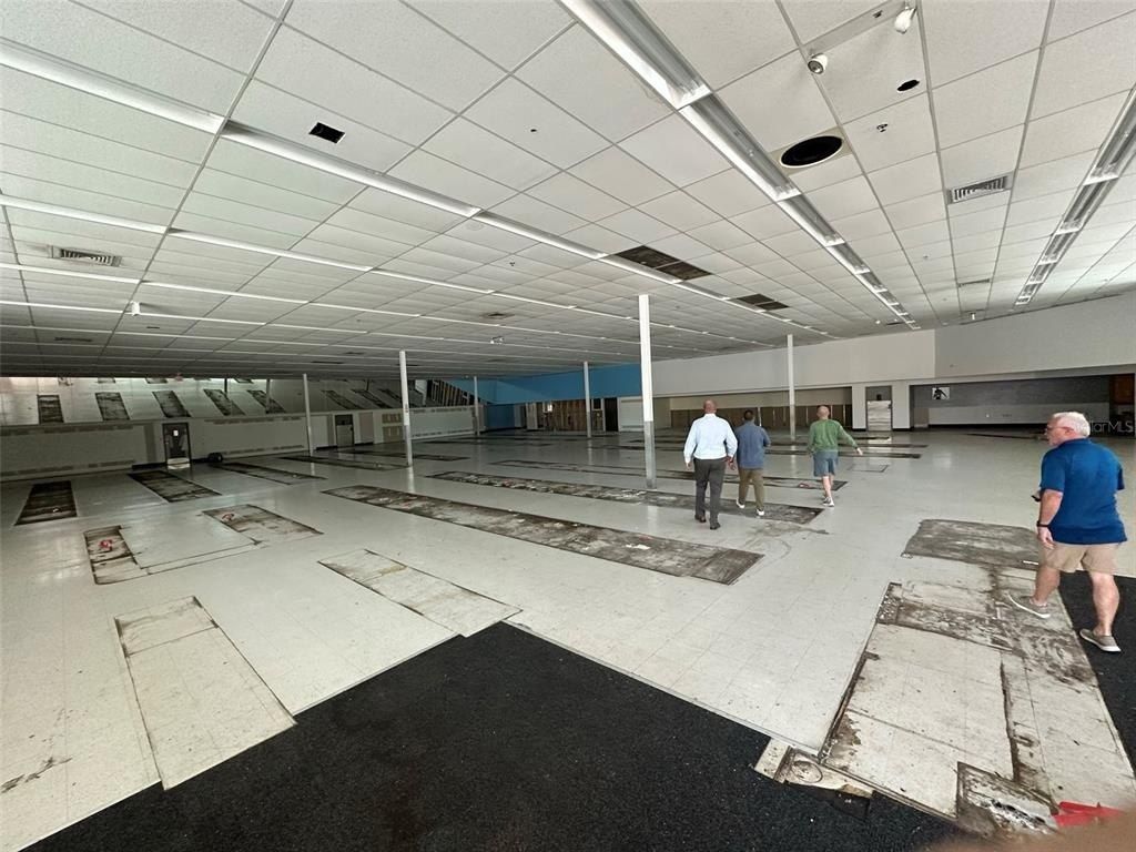 3917 N Nebraska Avenue, Tampa, FL 33603 Photo