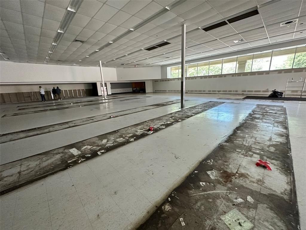 3917 N Nebraska Avenue, Tampa, FL 33603 Photo