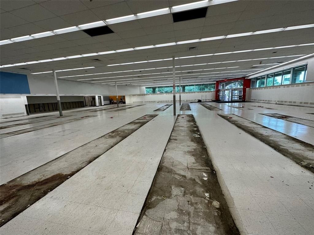 3917 N Nebraska Avenue, Tampa, FL 33603 Photo