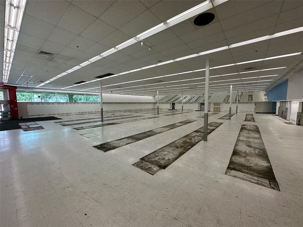 3917 N Nebraska Avenue, Tampa, FL 33603 Photo