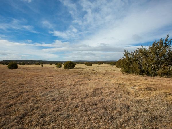 Bushnell, Edgewood, NM 87015