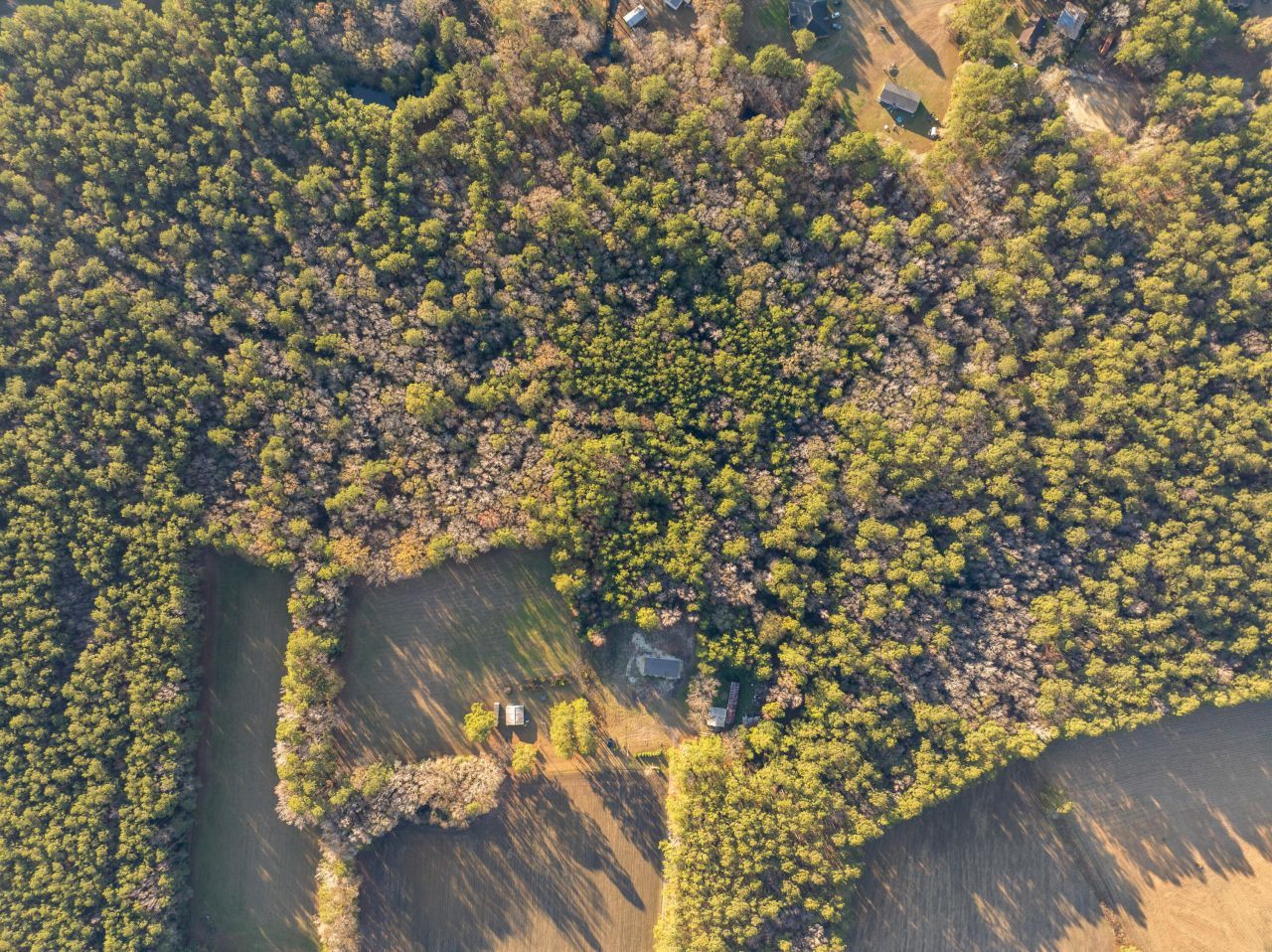 149 Donald Lane Photo 4