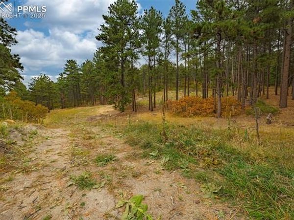 14420 S Perry Park Road, Larkspur, CO 80118