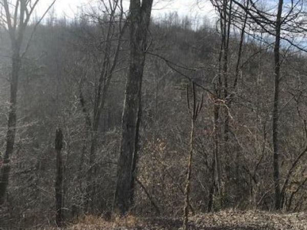 019 007.01 E of US RT 27, Sunbright, TN 37872