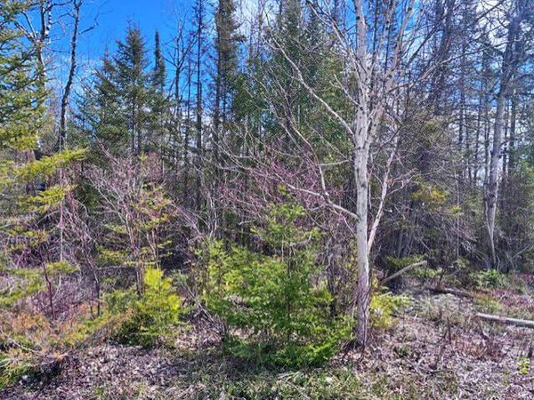 Lot 338 County Rd. 638, Presque Isle, MI 49777
