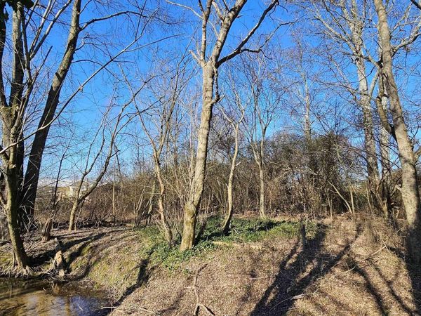 1 +/- Acre Alabama Highway 227, Geraldine, AL 35974