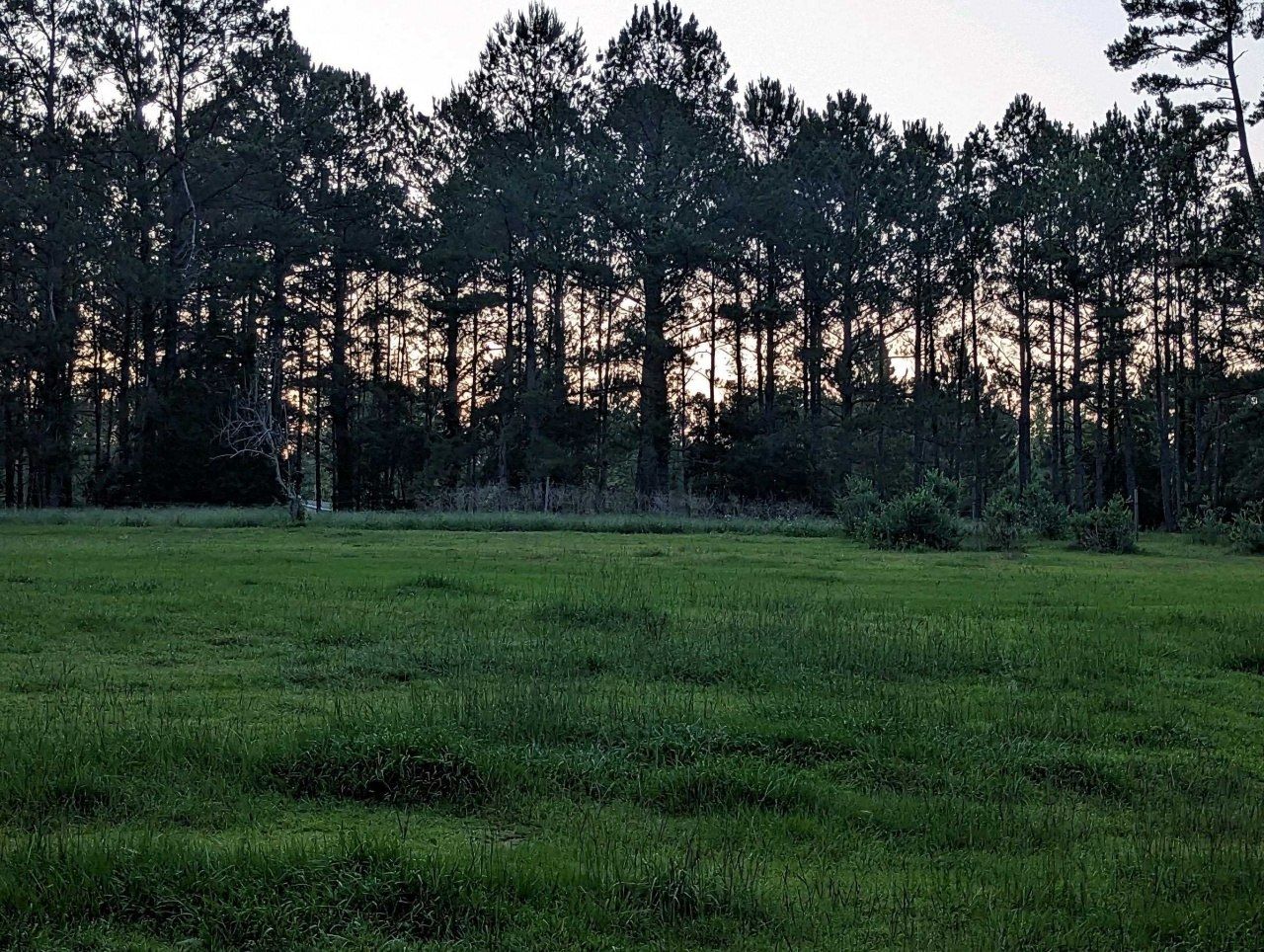 1447 Deer Run Road, Havana, FL 32333 Photo