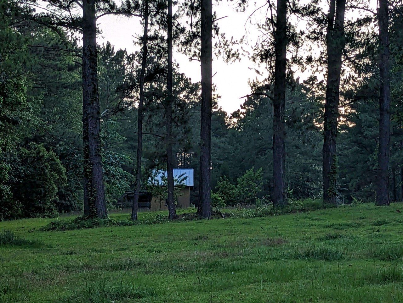 1447 Deer Run Road, Havana, FL 32333 Photo