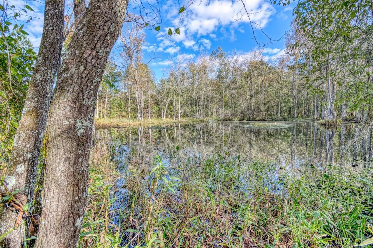 1161 NW Jersey Road, Greenville, FL 32331 Photo