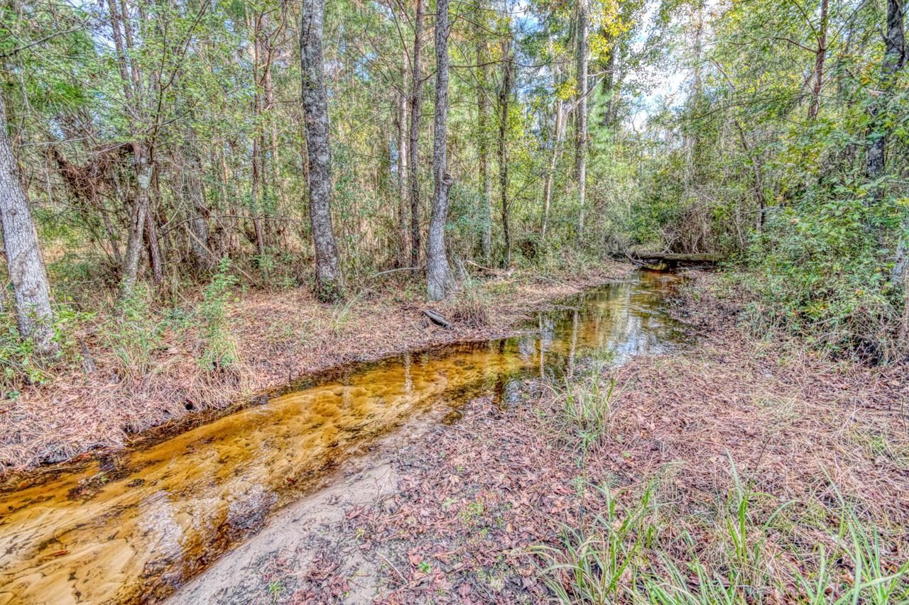 1161 NW Jersey Road, Greenville, FL 32331 Photo