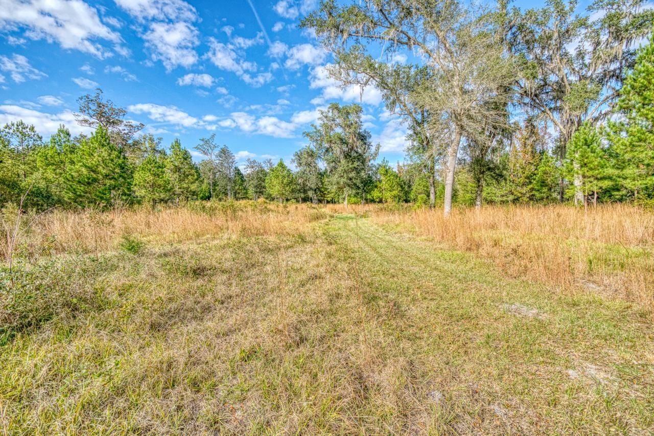 1161 NW Jersey Road, Greenville, FL 32331 Photo