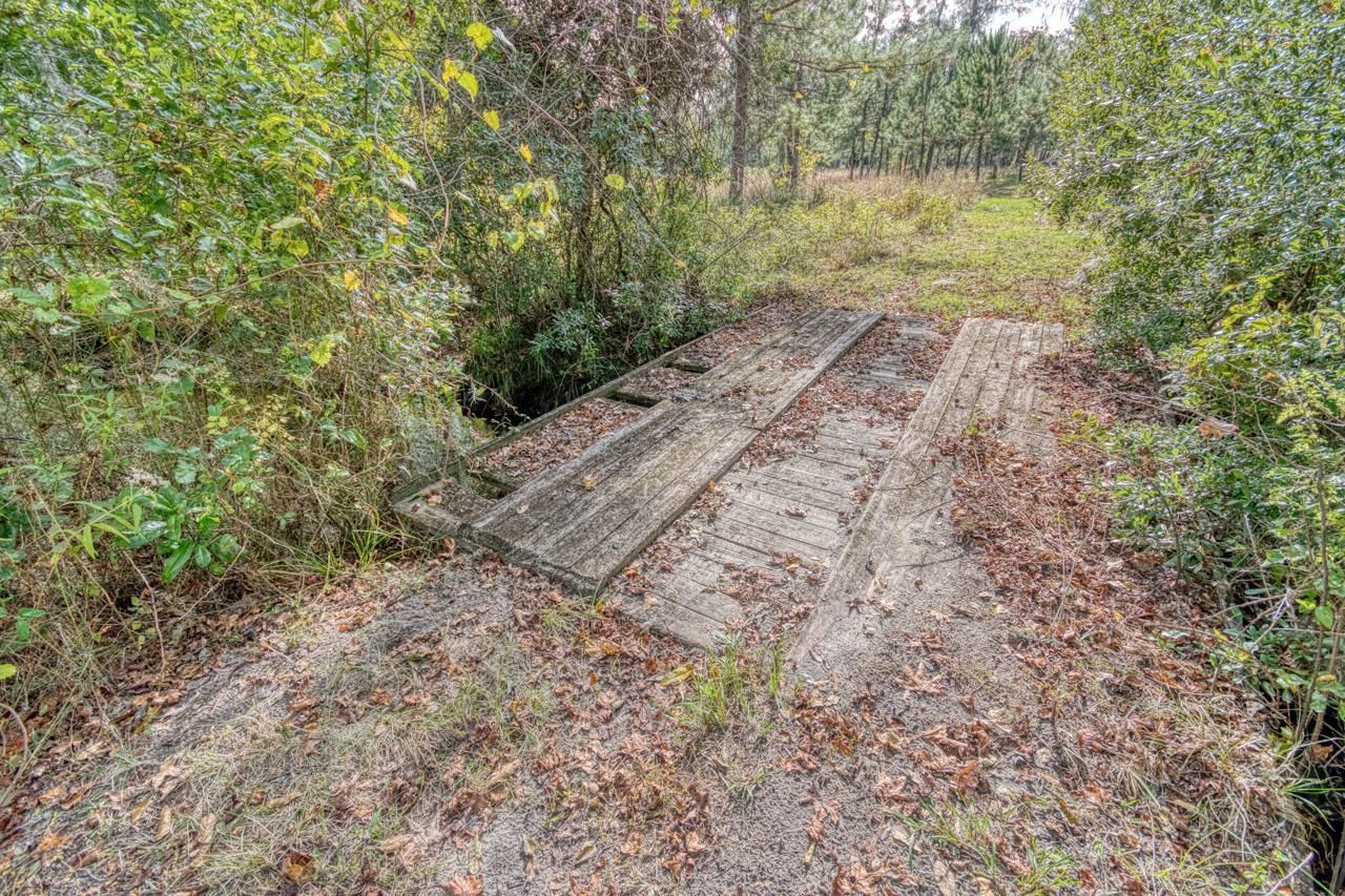 1161 NW Jersey Road, Greenville, FL 32331 Photo