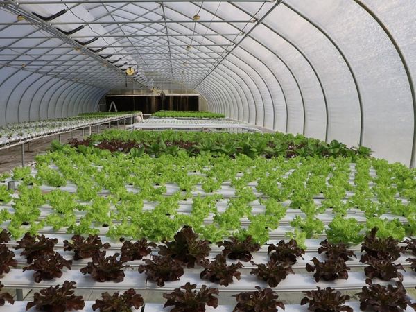 2588 Heavenly Drive, Marianna, FL 32448